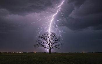 Lightning Striking Behind a Lone Tree - HD Wallpaper | Free Download | 4K Ultra HD