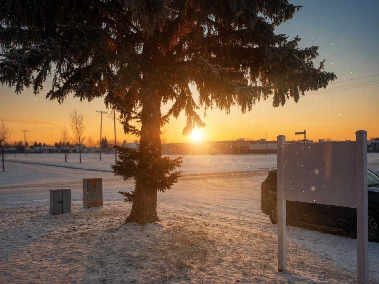 Winter tree sunset 1280x960