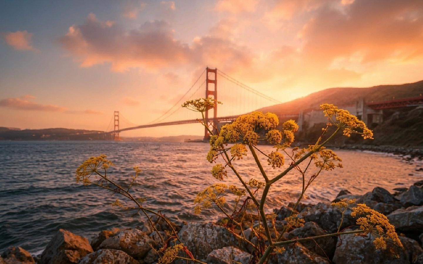 Golden gate bridge coastal sunset 1440x900