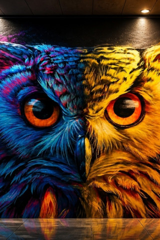 Owl wall art 320x480