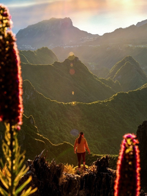 Adventure girl sunset 480x640